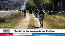 La elefanta Annie es asegurada por la Profepa