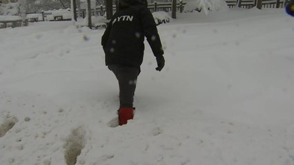 [날씨] 중부·경북 대설특보...오늘까지 전국 눈·비 / YTN