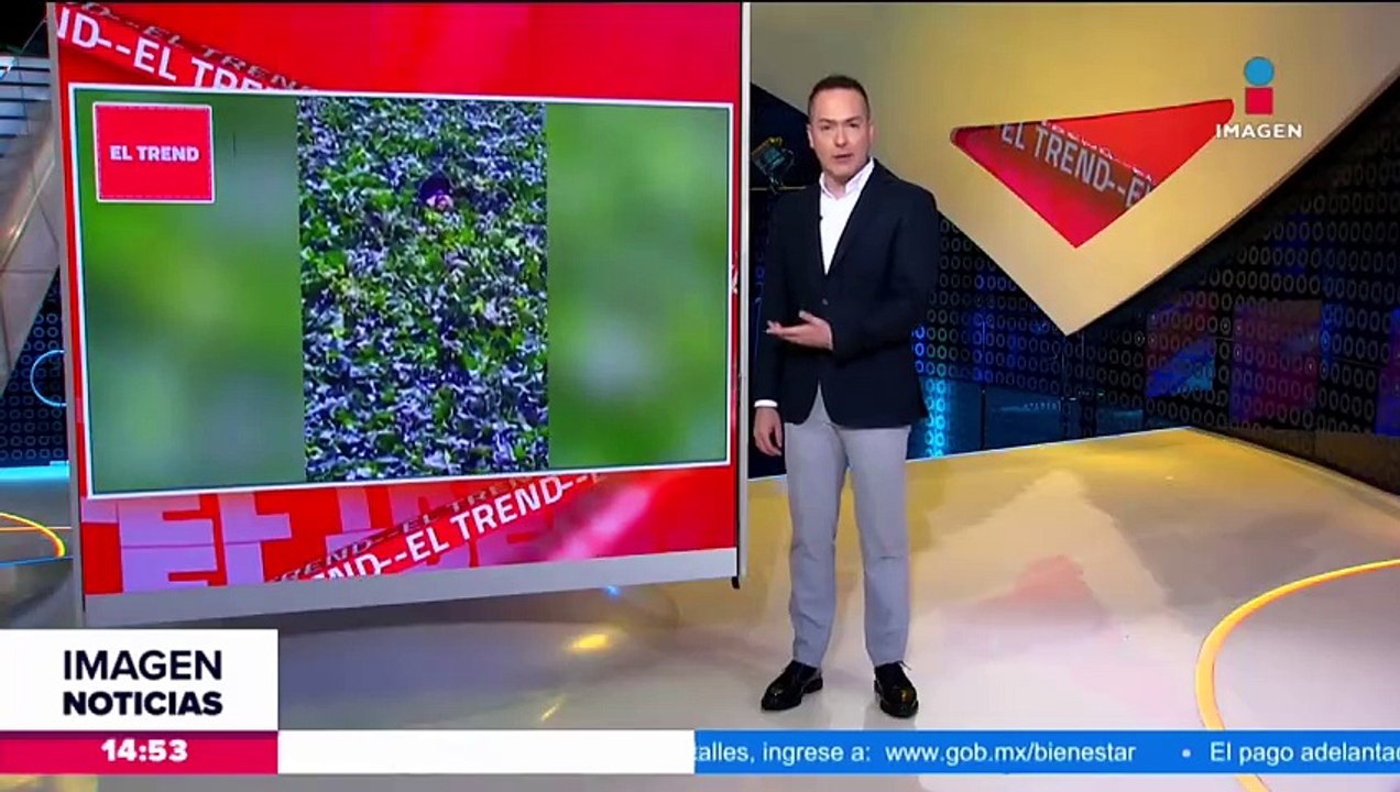 No te puedes perder lo mejor de las redes sociales
