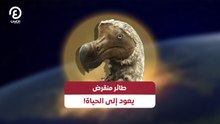 !طائر منقرض يعود إلى الحياة