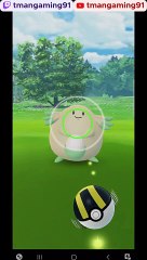 Pokémon GO-Shiny Chansey
