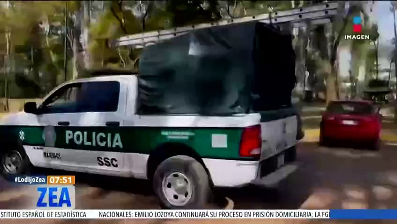 Partido Verde busca estímulos económicos para personas que rescatan animales maltratados