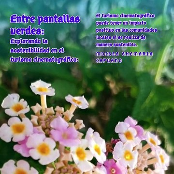 Moises Shemaria Capuano| El turismo cinematográfico también puede ser una oportunidad (parte 3)