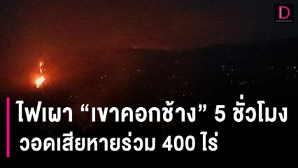 ไม้ขีดก้านเดียว! ไฟเผา "เขาคอกช้าง" 5 ชั่วโมง วอดเสียหายร่วม 400 ไร่ | HOTSHOT เดลินิวส์ 22/02/67
