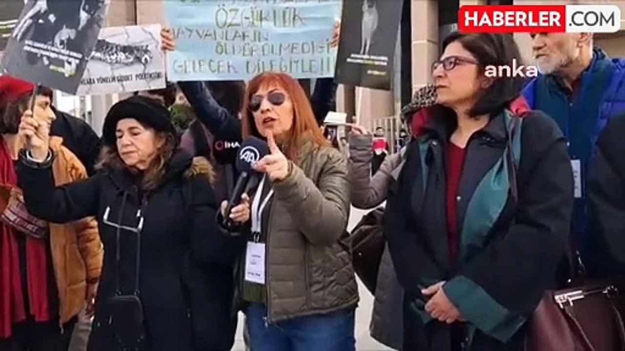 Murat Özdemir tutuklandı mı, ne oldu? Kedilere kezzap atan Murat Özdemir tutuklandı mı?