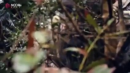 مسلسل المؤسس عثمان الحلقة 149 الموسم 5 الجزء 2