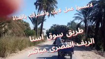 سوق اسنا الاقصر - مصر أغنام وماعز اليوم