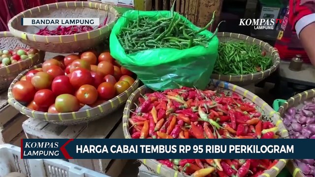Mahal! Harga Jual Cabai Tembus Rp95 Ribu Perkilogram