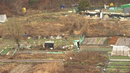 [뉴스큐] 그린벨트, 20년 만에 '대수술'...기대·우려 교차 / YTN