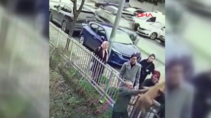 İç ısıtan görüntü: Sokak köpeği kendisini kurtaran insana böyle teşekkür etti