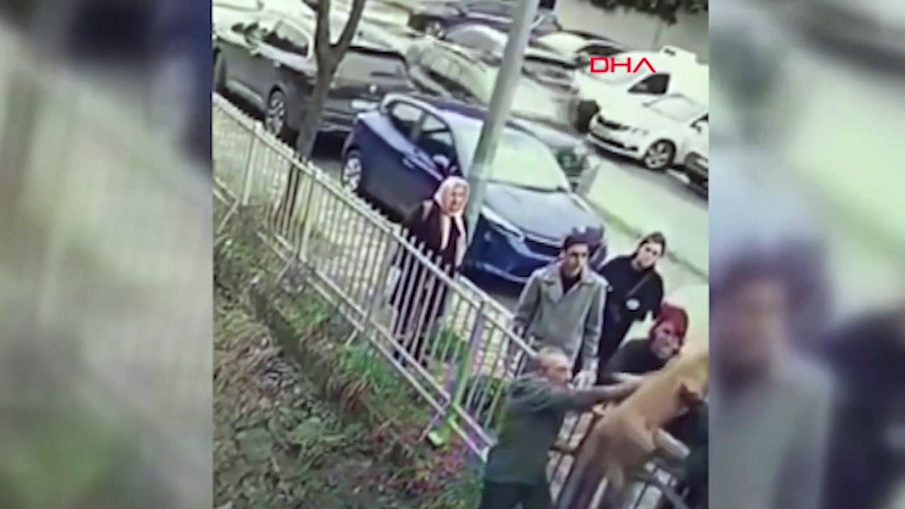 İç ısıtan görüntü: Sokak köpeği kendisini kurtaran insana böyle teşekkür etti
