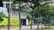 Geng Tai Binus School Serpong Beri Keuntungan ke Anggota: dari Uang Parkir hingga Derajat Dinaikkan