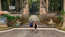 Sangeh Monkey Forest Bali Drone Footage 4K