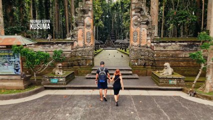 Sangeh Monkey Forest Bali Drone Footage 4K