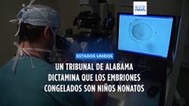 Un tribunal del Estado de Alabama dictamina que los embriones congelados son niños