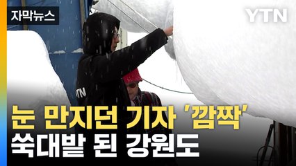 [자막뉴스] 괴물 같은 폭설 내린 강원도...피해 속출 / YTN