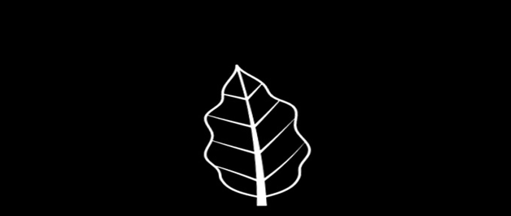 Meseta [ Coffee ] Logo Animation