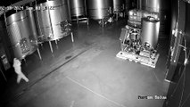Près de 60 000 litres de vin haut de gamme déversés sur le sol