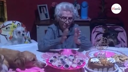 Grandmother turns 89 and celebrates her birthday with her 10 beloved dogs (video)