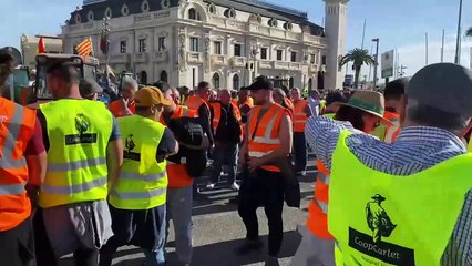 Centenars de tractors protesten al port de València