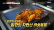 [HOT] Stir-fried red-flavored natural mushrooms that make you want to eat, 생방송 오늘 저녁 240222