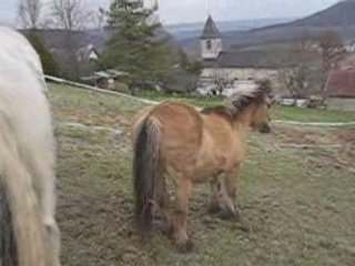 C'est le printemps !