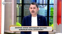 Murat Kurum'dan Kanal D'ye özel açıklamalar... 'Depreme dayanıklı 650 bin konut hedefimiz var'