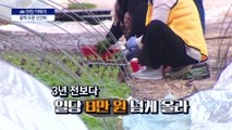 [현장 카메라]외국인노동자 떠나는 한국 농촌