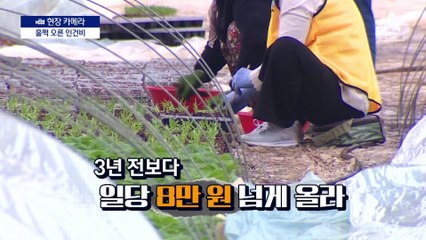 [현장 카메라]외국인노동자 떠나는 한국 농촌
