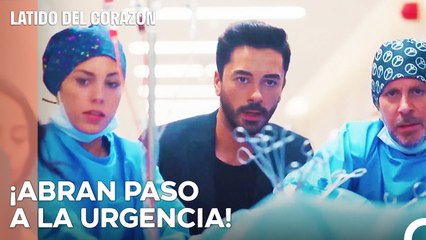 Los Largos Esfuerzos Dieron Sus Frutos - Latido Del Corazon