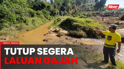 'Kita harap sangat enam laluan gajah ini segera ditutup'