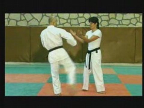 Uechi-ryu karate-do d'Okinawa