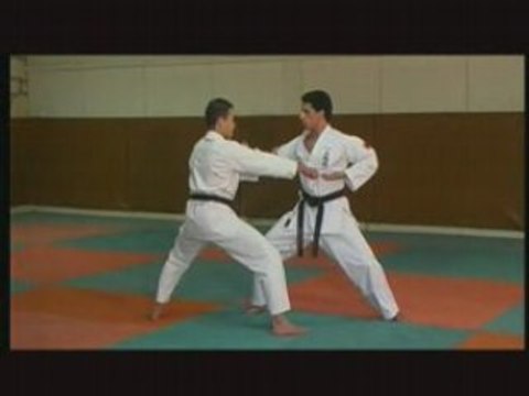 UECHI-RYU Karate-Do D'Okinawa Volume 2