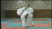 UECHI-RYU Karate-Do D'Okinawa Volume 3