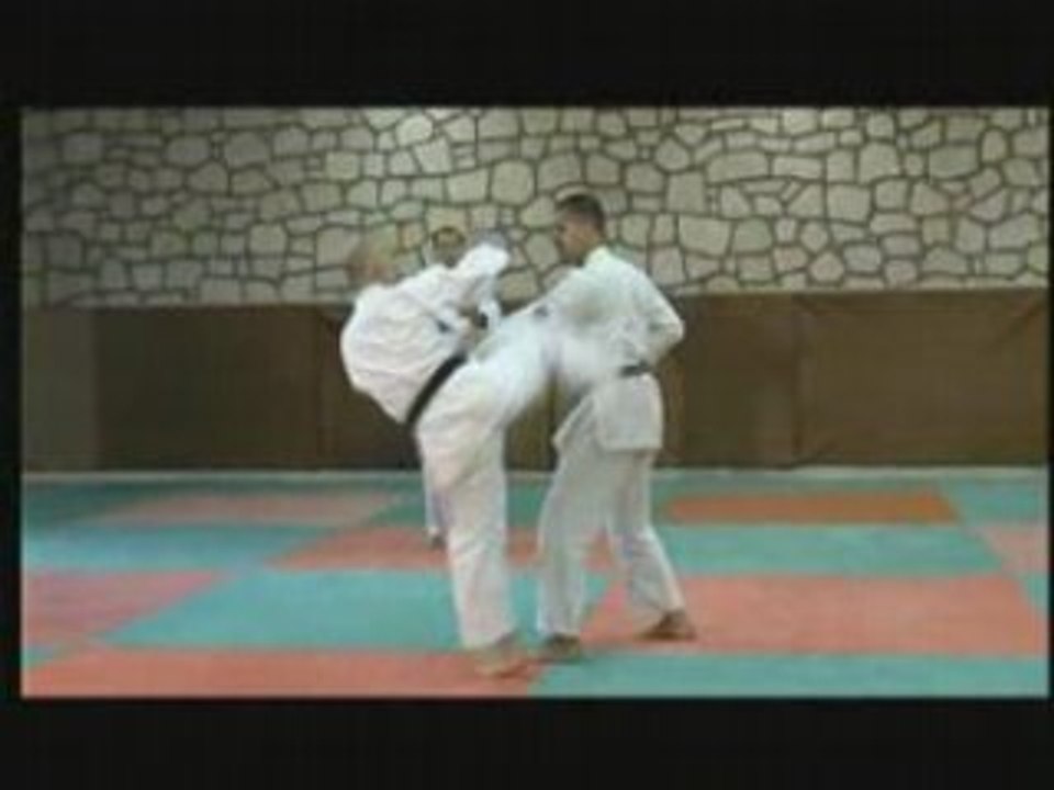 UECHI-RYU Karate-Do D'Okinawa Volume 3