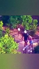 "Taylor Swift and Travis Kelce's Romantic Day at Sydney Zoo: Holding Hands and Meeting Koalas