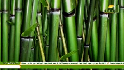 قناة الرحمة نشيد