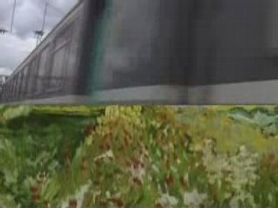 Van Gogh : Derniers jours a Auvers-sur-Oise