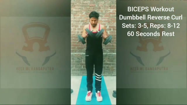 ❌ DUMBBELL REVERSE CURLS ✔️ Best BICEPS Exercise #heermlgangaputra #naturalbodybuilding