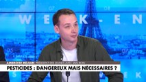 Ambroise Méjean : «Sur les 30 dernières années, il n’y a plus eu la même utilisation en nombre de vaporisations»