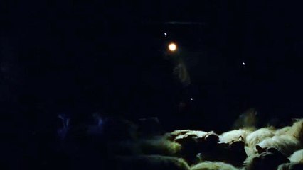 Negu Hurbilak - Trailer