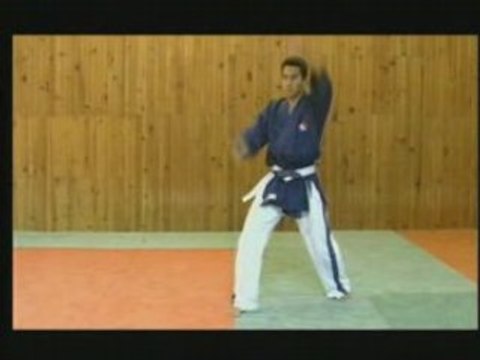 Yoseikan Budo Traditionnel