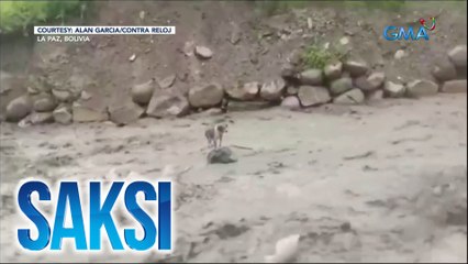 Saksi Part 3: Asong nasagip; "Jonas Brothers"