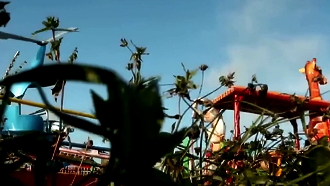 PJ Harvey — Black Hearted Love - PJ Harvey, John Parish ● PJ Harvey Music Video DVD Collector’s Edition