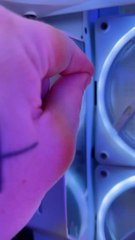 Ce moment tellement satisfaisant quand tu reçois ton PC Gamer