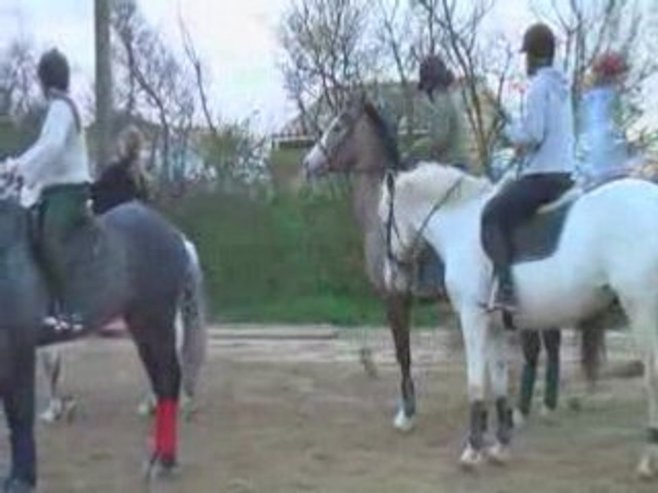 Pony games le 03.04