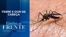 Dengue: Sintomas são de uma virose comum | LINHA DE FRENTE