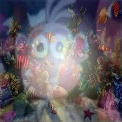 Dora The Explorer S04E02 Dora's First Trip