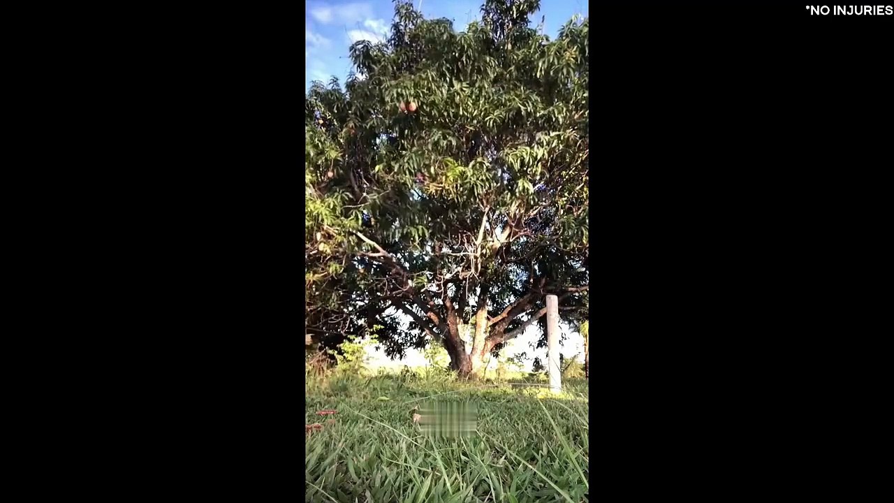 Funny Girls Fails 2024 TRY NOT TO LAUGH, Best Funny Videos Compilation