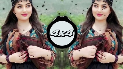 New Arabic Remix Song 2024 Bass Boosted ريمكس عربي جديد يحب الجميعTik Tok Music   اغاني عربية